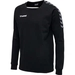 Hummel Sweatshirt Authentic Trainings Longsleeve F5001