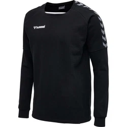 Hummel Sweatshirt Authentic Trainings Longsleeve Schwarz (205373)