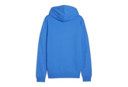 PUMA Herren Kapuzenpullover teamGOAL Casuals Hoody (658618) 658618
