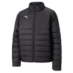 PUMA Winterjacke teamLIGA Padded Jacket 658799