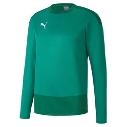Fleecepullover Herren Sweatshirt teamGOAL 23 Training Sweat 656478