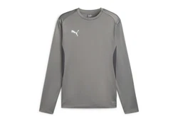 PUMA teamGOAL Training Sweatshirt Grau/Dunkelgrau/Silber