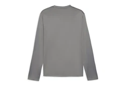 PUMA teamGOAL Training Sweatshirt Grau/Dunkelgrau/Silber
