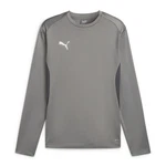 PUMA teamGOAL Training Sweatshirt Grau/Dunkelgrau/Silber