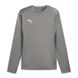PUMA teamGOAL Training Sweatshirt Grau/Dunkelgrau/Silber