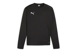 PUMA teamGOAL Training Sweatshirt 658649