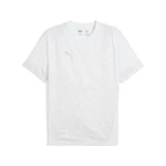 PUMA T-Shirt teamCUP Training Jersey 659167