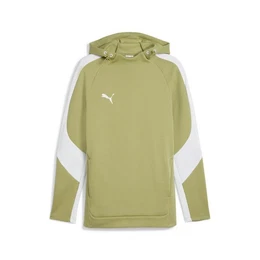 Kapuzenpullover Herren Kapuzenpullover teamEVOSTRIPE Hoody 659954