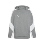 PUMA Herren Kapuzenpullover teamEVOSTRIPE Hoody 659954 659954