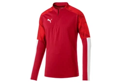 PUMA Herren Pullover Cup Training Zip Top 656016