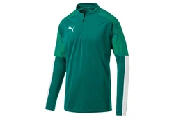 PUMA Herren Pullover Cup Training Zip Top 656016