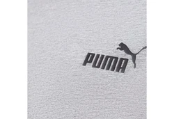 PUMA T-Shirt Essentials Small Logo Tee (586668) 586668
