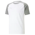 PUMA T-Shirt teamCUP Casuals Tee (657992) 