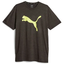 T-Shirt Herren T-Shirt TRAIN FAV HEATHER CAT TEE 522352