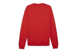 PUMA Pullover teamGOAL Casuals Crew Neck Sweat Rot