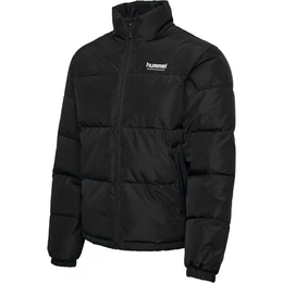 Winterjacke Herren Winterjacke hmlLGC ROBERT PUFF JACKET 221429