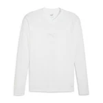 PUMA Langarmshirt teamGOAL Baselayer Tee LS (658777) 658777