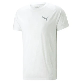 PUMA T-Shirt Evostripe Tee (673311)