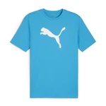 PUMA T-Shirt teamRISE Logo Trainingsshirt 