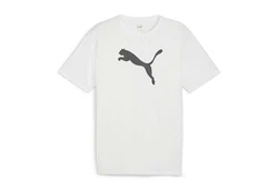 PUMA T-Shirt teamRISE Logo Trainingsshirt 658705