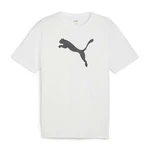 PUMA T-Shirt teamRISE Logo Trainingsshirt 658705