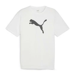 PUMA T-Shirt teamRISE Logo Trainingsshirt 658705