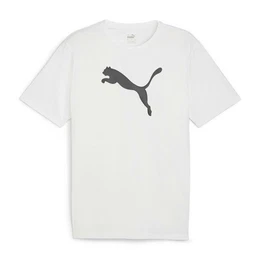 T-Shirt Herren T-Shirt teamRISE Logo Jersey Cotton 658705