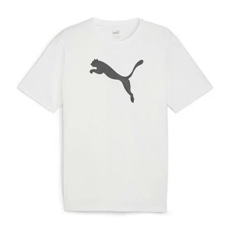 PUMA T-Shirt teamRISE Logo Trainingsshirt