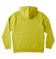 DC Shoes Kapuzensweatshirt DC 1994 Gelb/Grün/Neonfarben