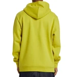 DC Shoes Kapuzensweatshirt DC 1994 Gelb/Grün/Neonfarben