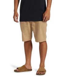 Quiksilver Shorts Everyday Union Light Beige/Khaki