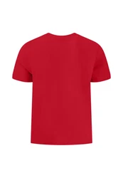 FYNCH-HATTON T-Shirt Rot