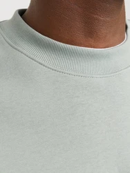 JACK & JONES Sweatshirt JJEUrban Edge Grün/Hellgrün/Hellblau