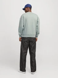 JACK & JONES Sweatshirt JJEUrban Edge Grün/Hellgrün/Hellblau