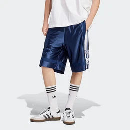 Shorts ADIBREAK SHORTS (1-tlg)