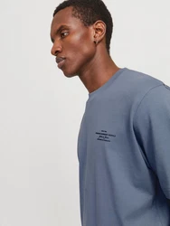 Jack & Jones Rundhalsshirt JPRBLACHAD BRANDING SS CREW NECK TEE opal/schwarz