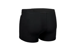 Arena Herren Badehose MEN'S TEAM SWIM SHORT SOLID 004776