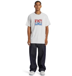 DC Shoes T-Shirt DC Star Inline Weiß/Grau/Hellgrau/Creme