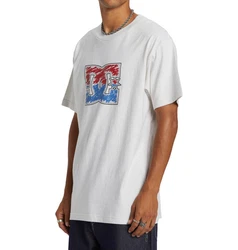 DC Shoes T-Shirt DC Star Inline Weiß/Grau/Hellgrau/Creme