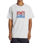 DC Shoes T-Shirt DC Star Inline Weiß/Grau/Hellgrau/Creme