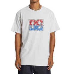 DC Shoes T-Shirt DC Star Inline Weiß/Grau/Hellgrau/Creme