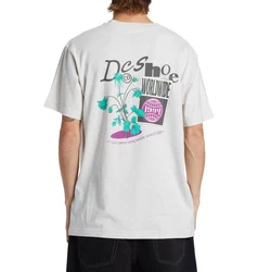 DC Shoes T-Shirt Transfer Grau/Hellgrau