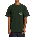 DC Shoes T-Shirt Freshman Dunkelgrün/Grün