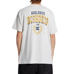 DC Shoes T-Shirt Freshman Grau/Hellgrau