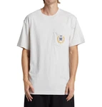 DC Shoes T-Shirt Freshman Grau/Hellgrau