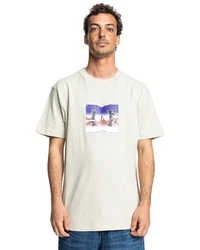 DC Shoes T-Shirt Metallic Star Khaki/Beige/Weiß