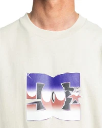 DC Shoes T-Shirt Metallic Star Khaki/Beige/Weiß