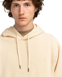 Element Sweatshirt 3.0 Lowcase Pigment Po Beige/Khaki/Orange