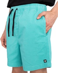 Element Shorts Valley Twill Türkis/Grün