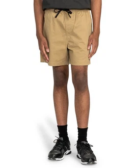 Element Shorts Valley Twill